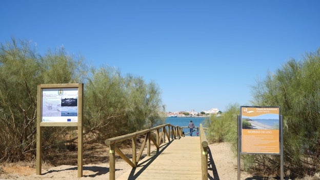 Playa canina en Ayamonte