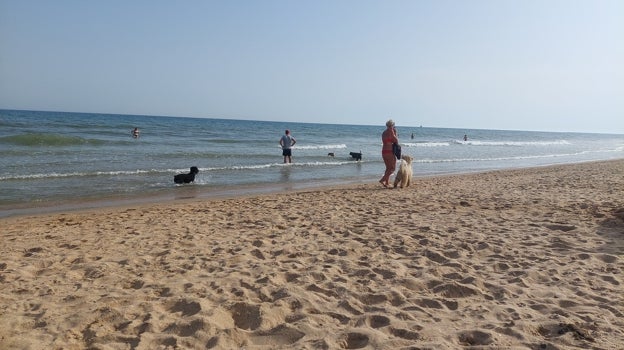 Playa canina de Icona Pesmar