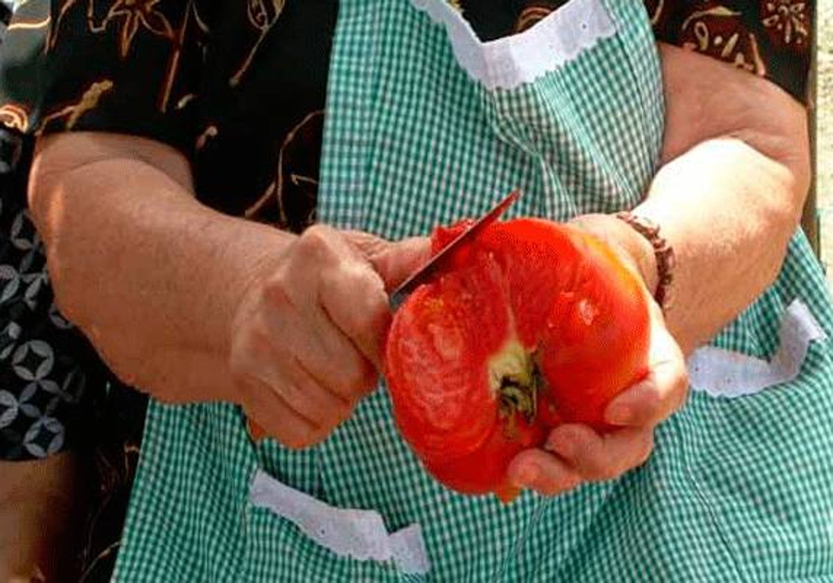 El tomate rosa de la Sierra de Aracena