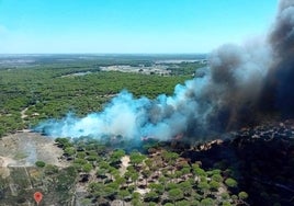 El alcalde de Bonares pedirá la declaración de zona catastrófica tras el incendio forestal