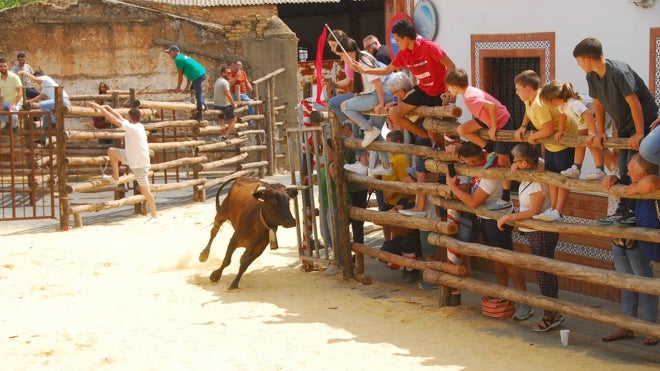 Centran parte de la programación de las fiestas de la Virgen del Pino
