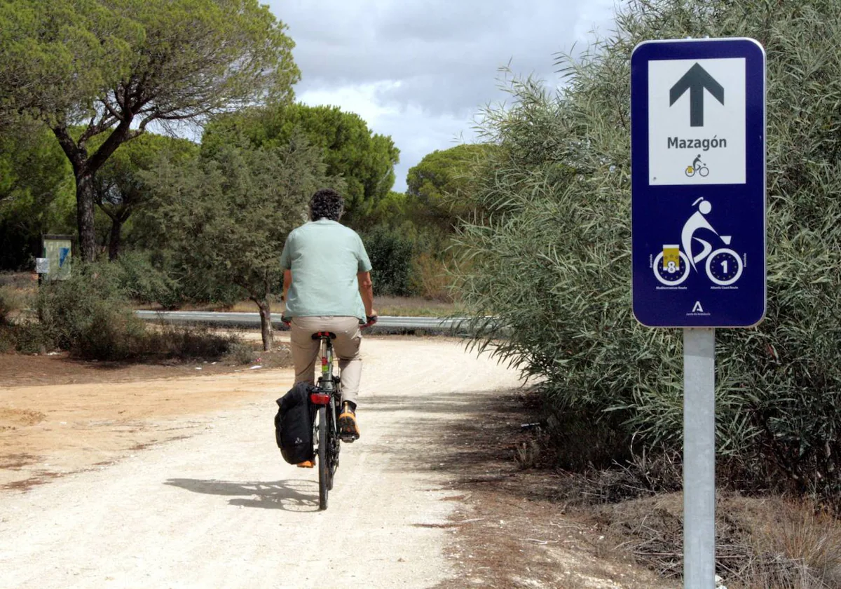 Señalización incorporada a las vías ciclistas