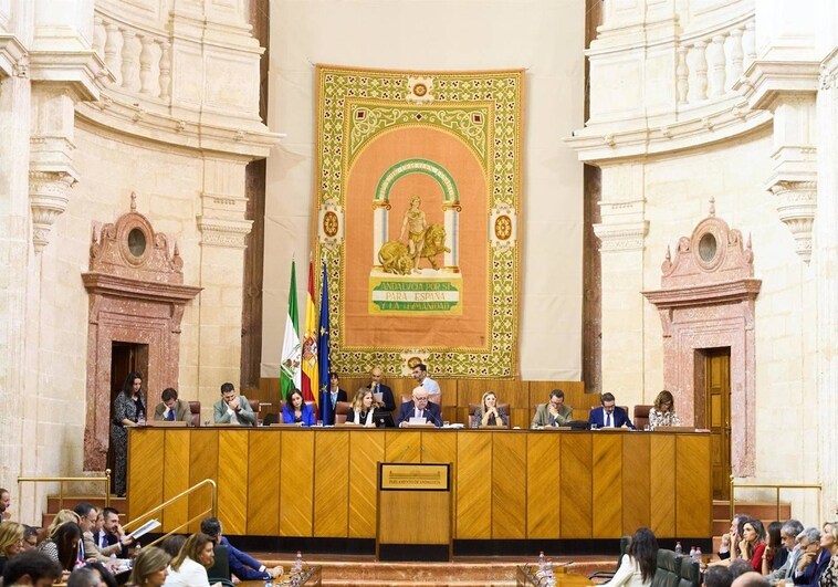 La Sesión del Pleno del Parlamento de Andalucía