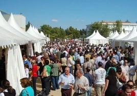 Dónde alojarse durante la Feria del Jamón de Aracena 2023: hoteles y casas rurales en la Sierra de Huelva