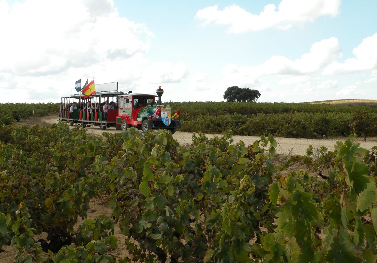 Un momento de la ruta del vinotren en anteriores ediciones de la Semana de Viticultura y Enología de Bollullos