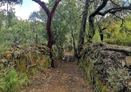 Las mejores rutas de senderismo por la Sierra de Aracena: ¿cuáles son y cuántos kilómetros tienen?