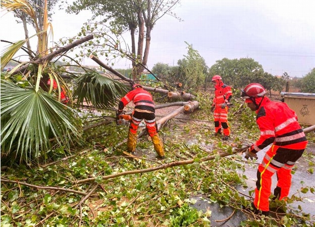 Los bomberos del Consorcio retiran uno de los árboles derribados