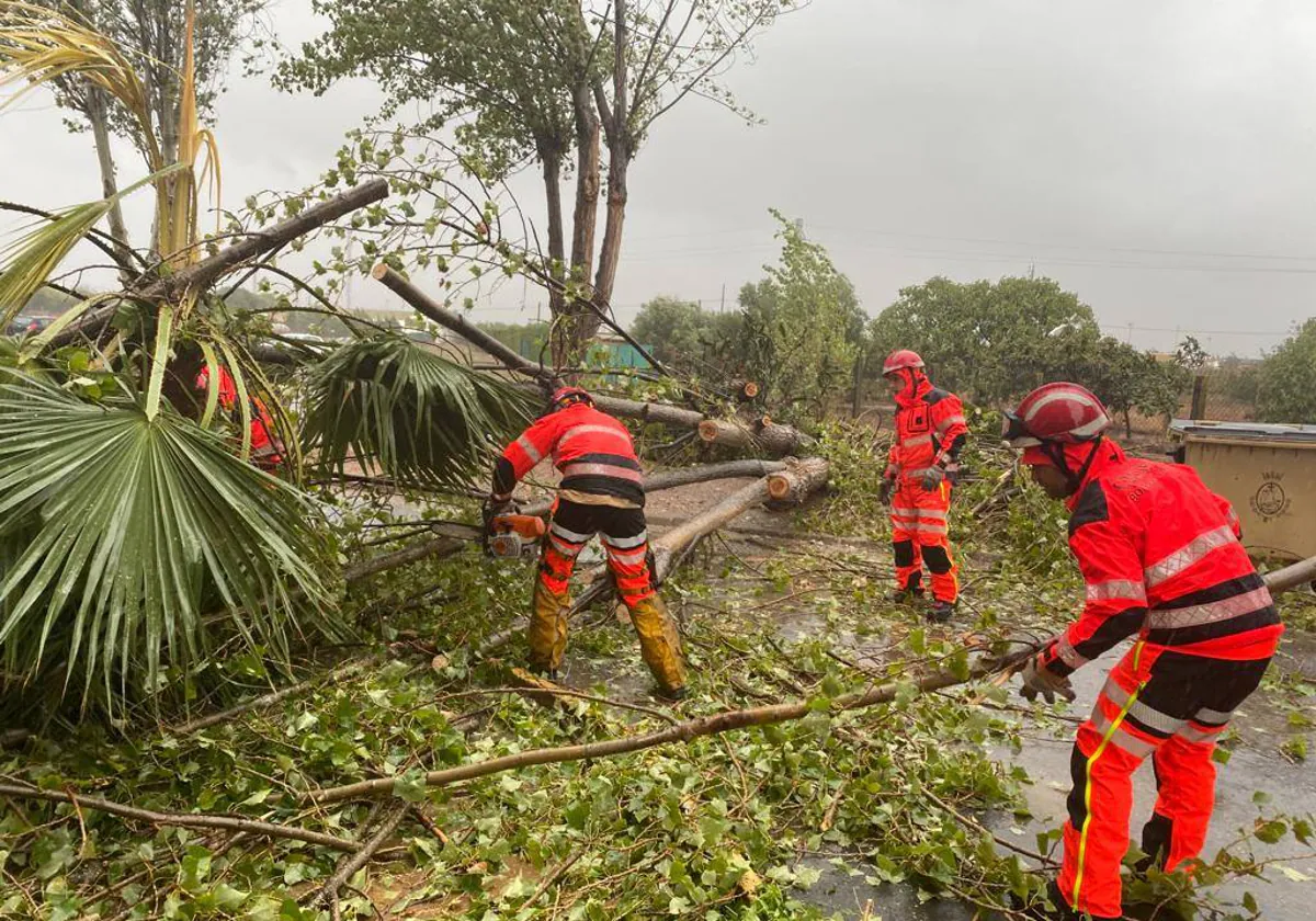 Bomberos del Consorcio Provincial trabajando este domingo en Huelva tras el paso del temporal