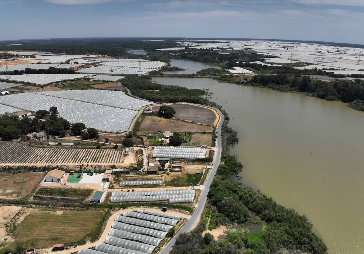Vista del Estero de Domingo Rubio