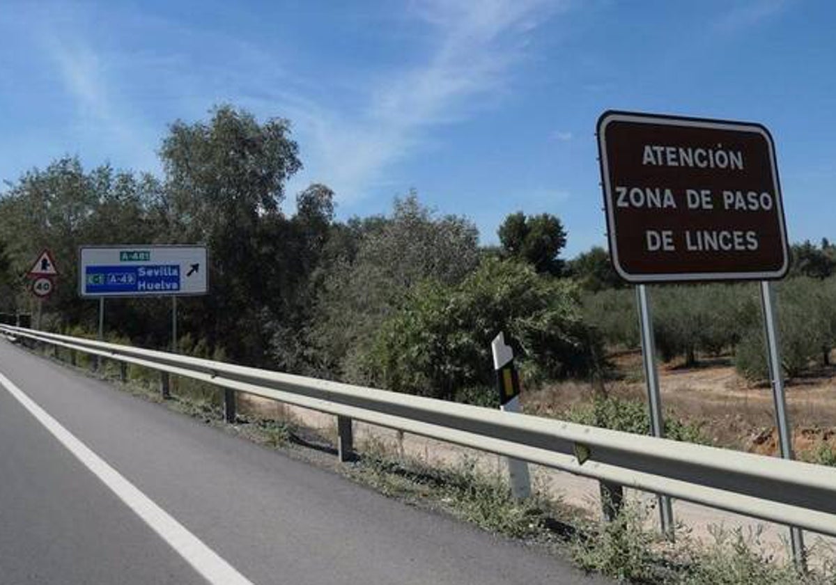 Señalización en una carretera acerca de la posible presencia de linces