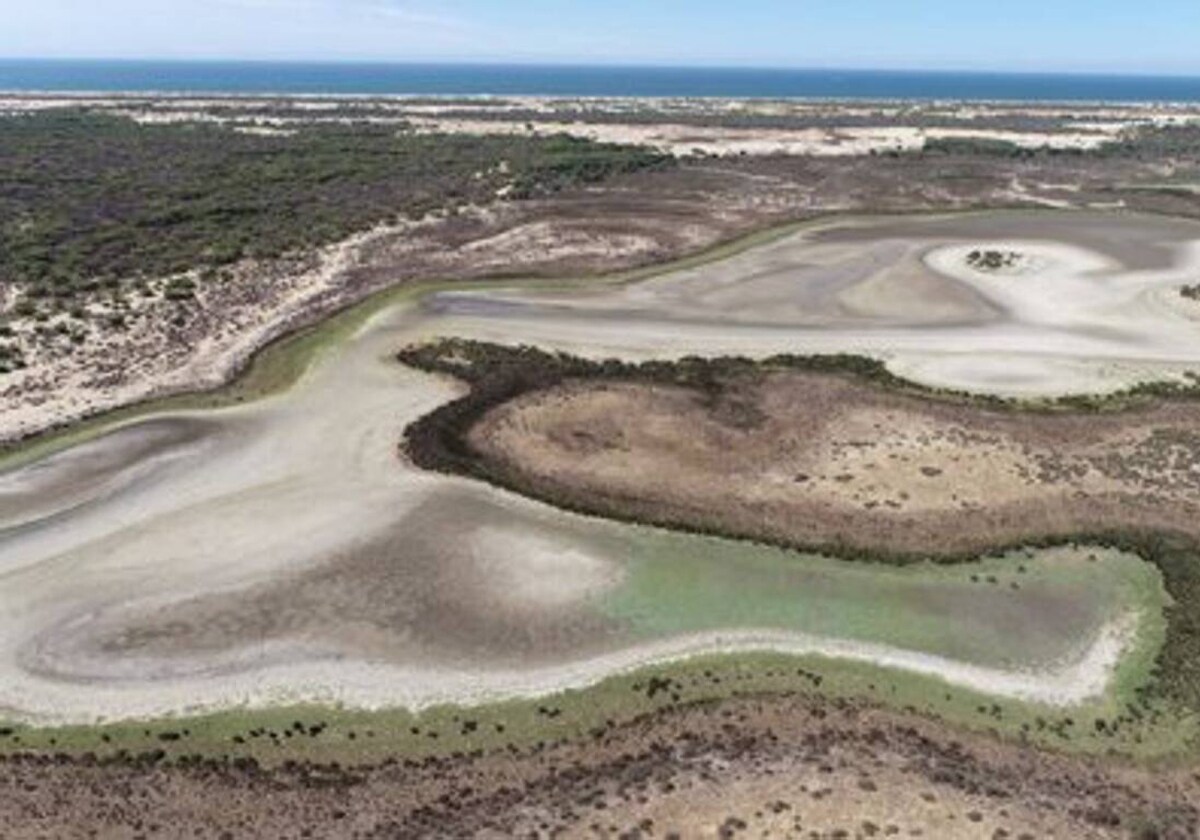 Laguna de Santa Olalla, en Doñana, seca en agosto de 2022