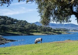 El tiempo en Huelva: un anticiclón protegerá a la Navidad de la lluvia pero no del frío