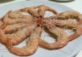 El pueblo de Huelva que celebrará las campanadas con doce gambas en vez de uvas