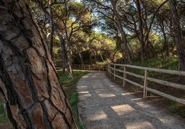 ¿Sabes cuáles son los siete caminos de la provincia de Huelva que tiene el distintivo 'Sendero Azul'?