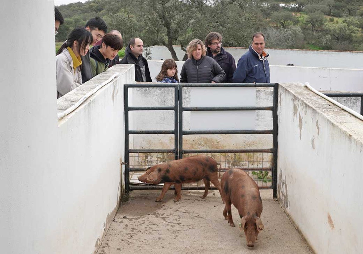 Una visita a las instalaciones del Huerto Ramírez