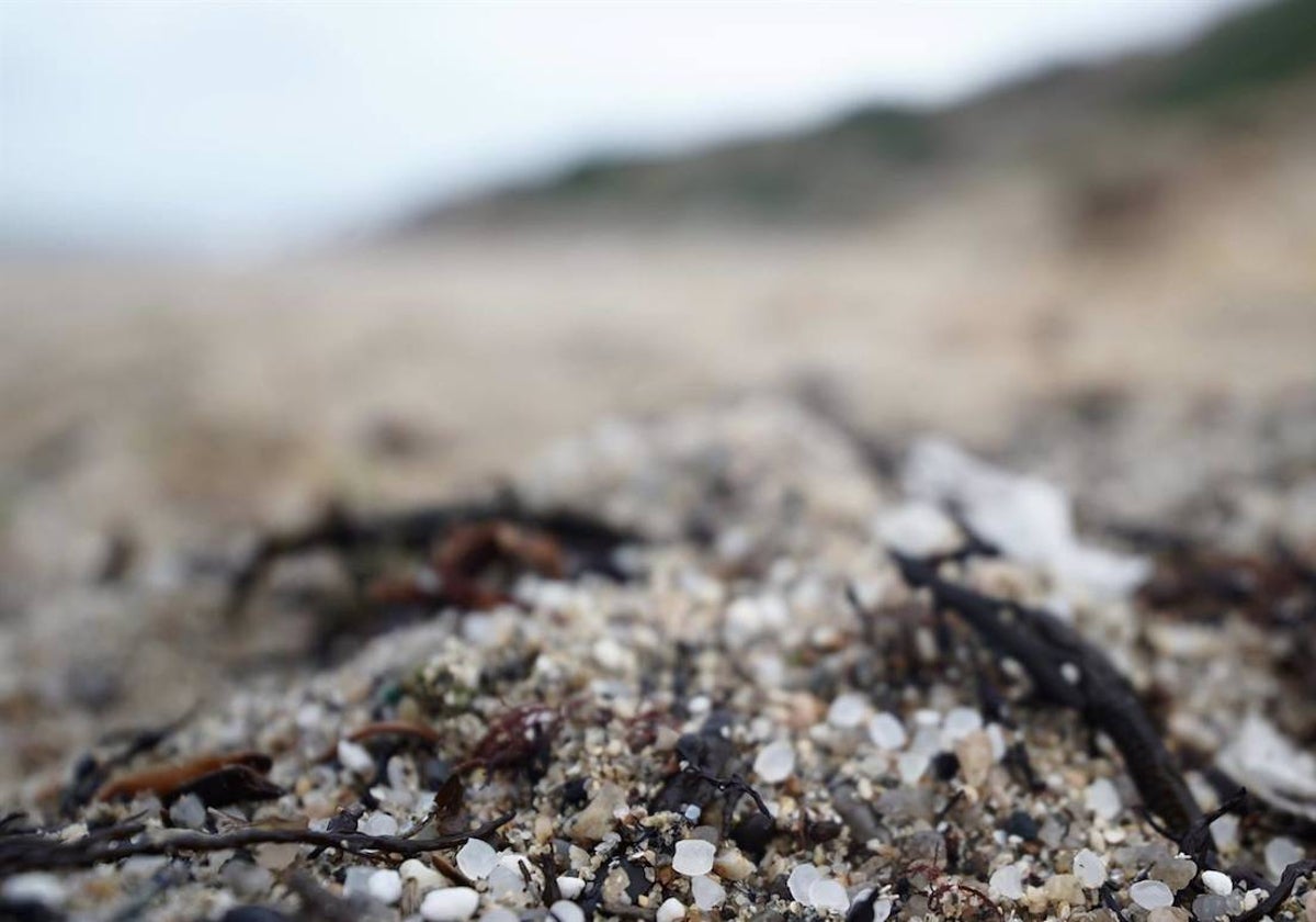 Pélets de plástico en la playa de Sabón