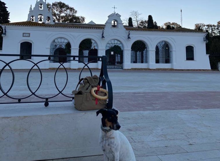 Fandango, con el santuario de la Cinta detrás