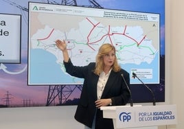 Denuncian la deficiente inversión eléctrica del Gobierno en Huelva