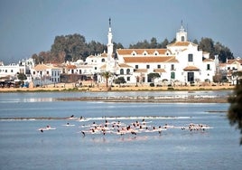 Almonte activa medidas de seguridad en El Rocío por las peregrinaciones de Huelva, Bollullos, Coria y Umbrete