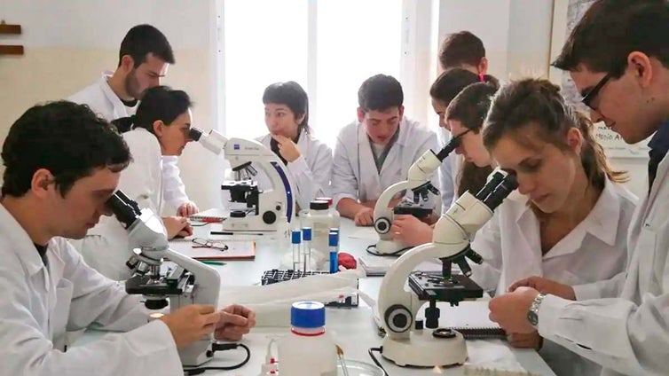 Grados medios y superiores en Huelva: esta es la lista de opciones y dónde estudiarlos