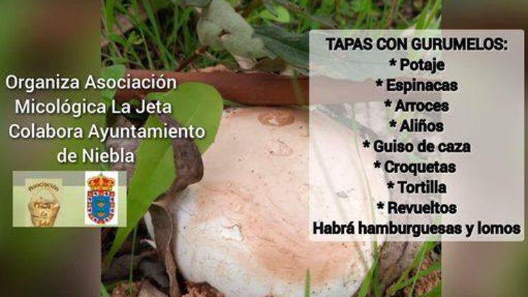 Planazo de sábado en Niebla: gurumelos en arroz, aliños, croquetas, tortillas o revueltos a un módico precio