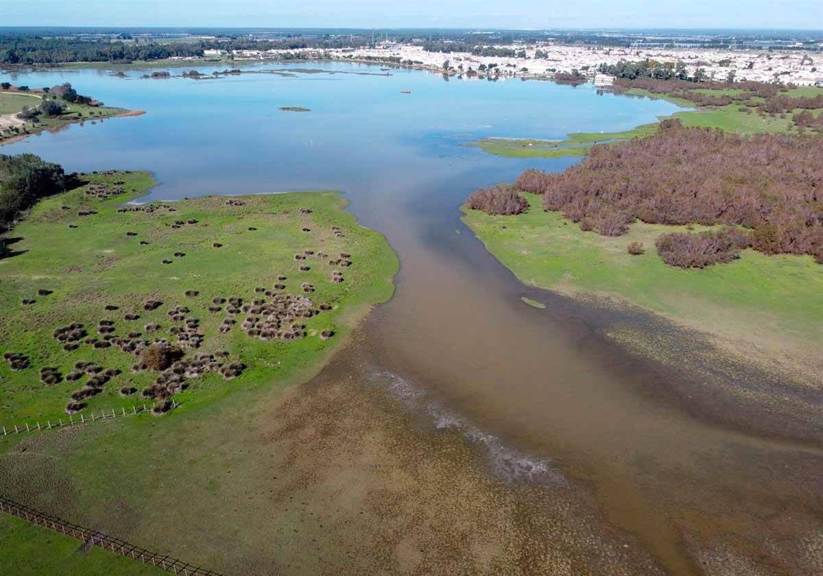 Marisma de Doñana