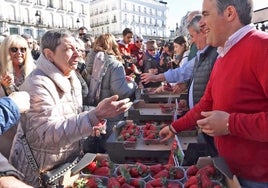 UPA reparte 2.000 tarrinas de fresas de Huelva en la Puerta del Sol  para reivindicar la calidad del producto