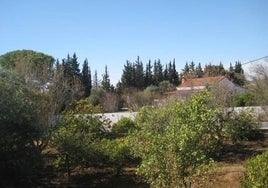 Punta Umbría impulsará el turismo rural en El Rincón, con un complejo de diez apartamentos y espacios comunes