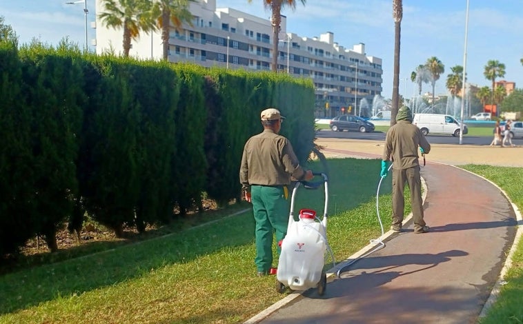 Imagen principal - La Diputación de Huelva responde a la proliferación de mosquitos tras la borrasca Karlotta con un amplio dispositivo