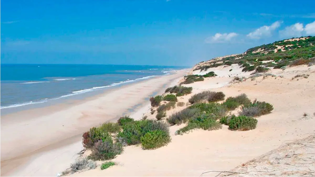La Playa de Doñana, cuyas dimensiones sólo están a la altura de su belleza