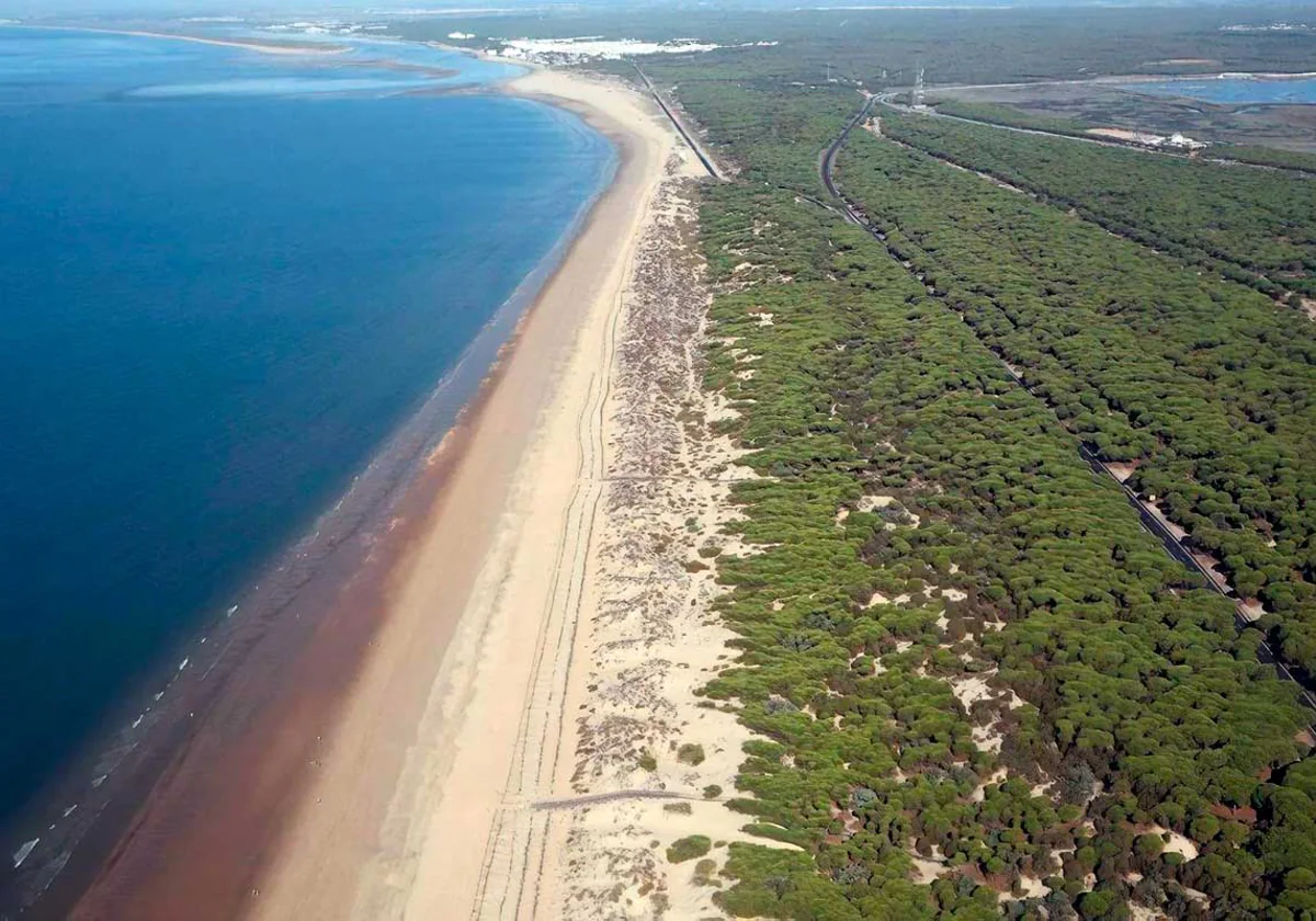 Panorámica aérea de la playa, en pleno paraje natural