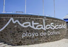 Almonte emulará a Punta Umbría y reclamará a Costas por inacción en la playa de Matalascañas