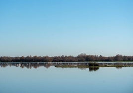 A debate el regreso de Doñana a la Lista Verde tras salir de ella por «no cumplir con los estándares»
