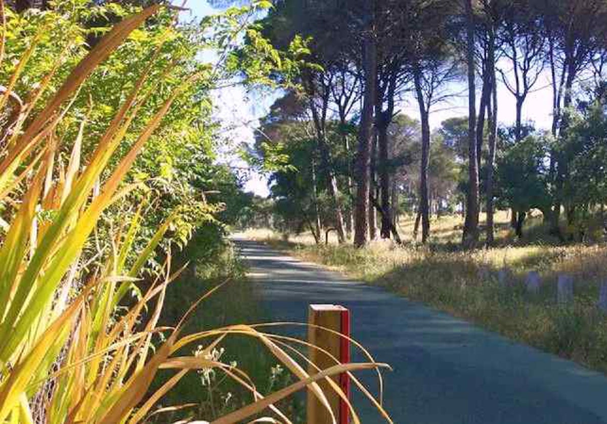 Camino de los Molinos del Agua