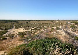 A vueltas con la especulación urbanística en Doñana