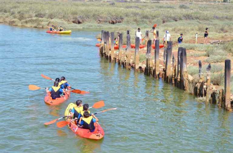 Actividades náuticas en las marismas