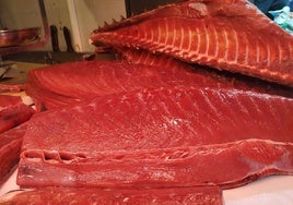 El ronqueo de un atún de 100 kilos pondrá este fin de semana el broche a la Ruta Gastronómica de El Portil