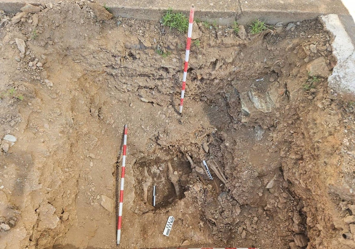 Parte de los restos hallados en la fosa del cementerio de Valverde del Camino