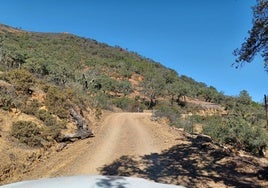 Diputación adjudica por 700.000 euros la mejora de la carretera que une Nerva con La Granada de Riotinto