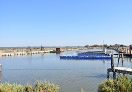 La recuperación de las Salinas del Astur de Punta Umbría, más cerca