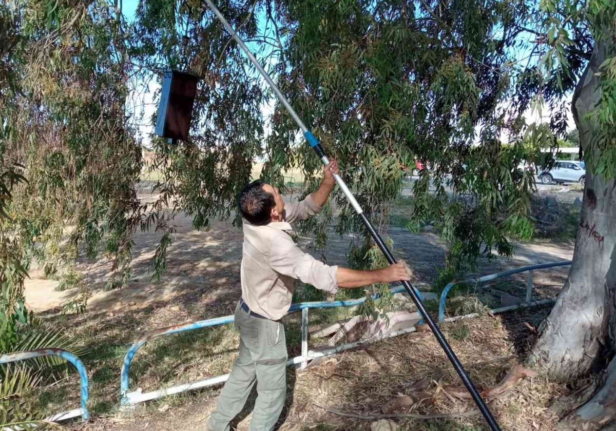 Un operario del Servicio de Control de Plagas