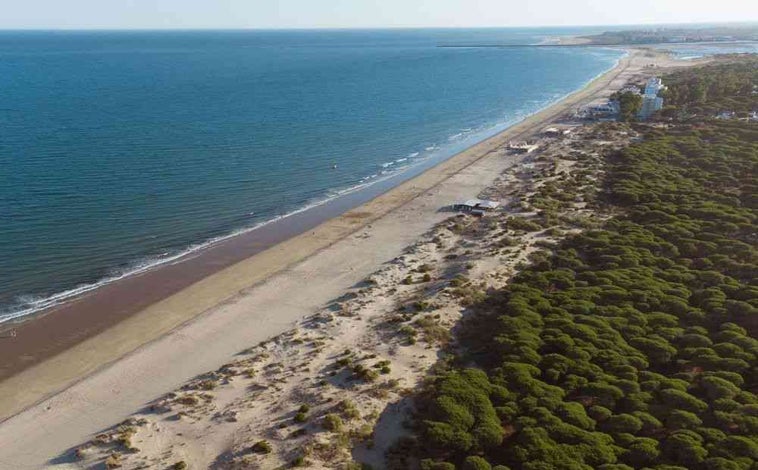 Imagen principal - Arriba, el entorno natural donde se encuentra el camping, a escasos metros de una playa casi virgen y de dimensiones kilométricas. Sobre estas líneas, dos detalles de las tiendas que se pueden encontrar en sus instalaciones