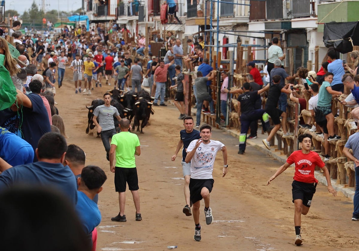 Las conocidas capeas de esta semana con motivo de la festividad de San Juan Bautista