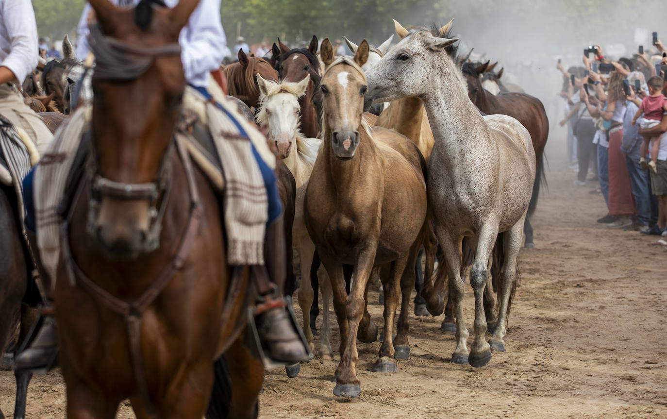 La Saca de las Yeguas 2024, en imágenes