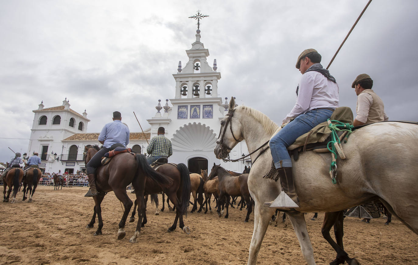 La Saca de las Yeguas 2024, en imágenes