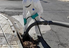 Extraen más de 32.000 kilos de residuos limpiando las alcantarillas de Lepe