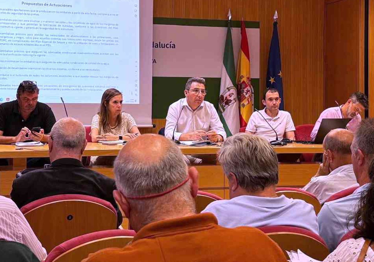 Comité de gestión del Tinto, Odiel y Piedras