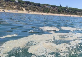 Denuncian los frecuentes vertidos de aguas residuales de barcos en Mazagón