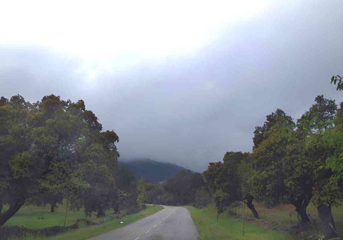 El jueves las lluvias llegarán a buena parte de la provincia