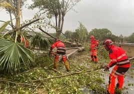 Sin rastro de la declaración de zona catastrófica en Huelva casi un año después del devastador paso de la borrasca Bernard